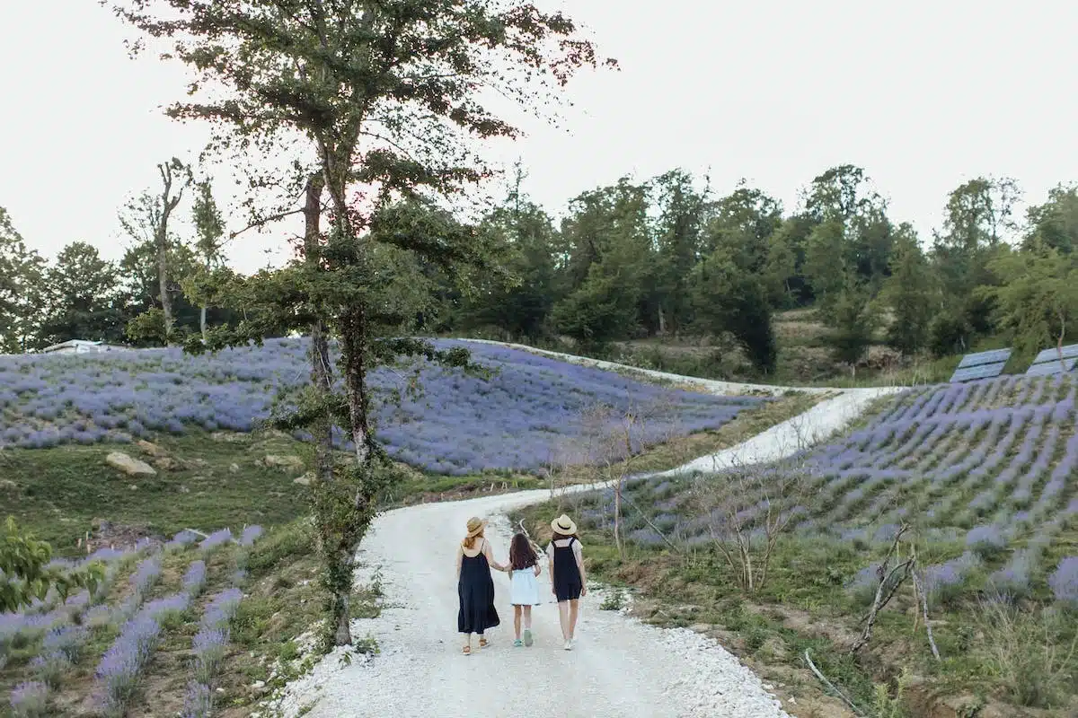 france  famille
