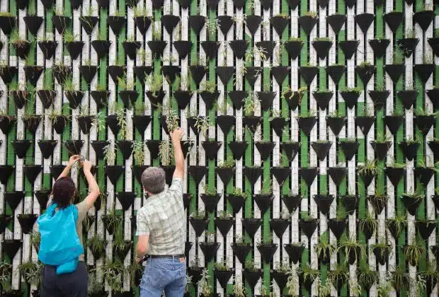 Le jardin vertical, et si vous passiez au vert ?